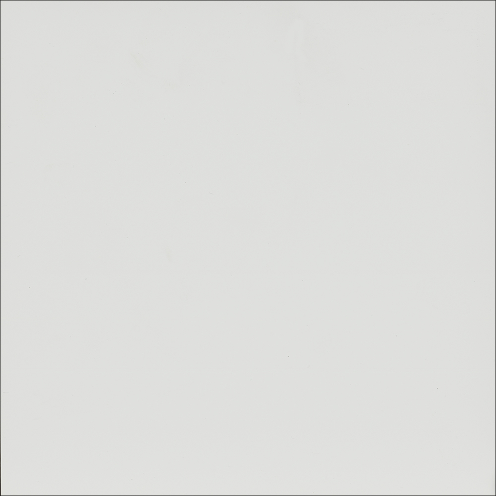 EVS012 - ORKİDE BEYAZ